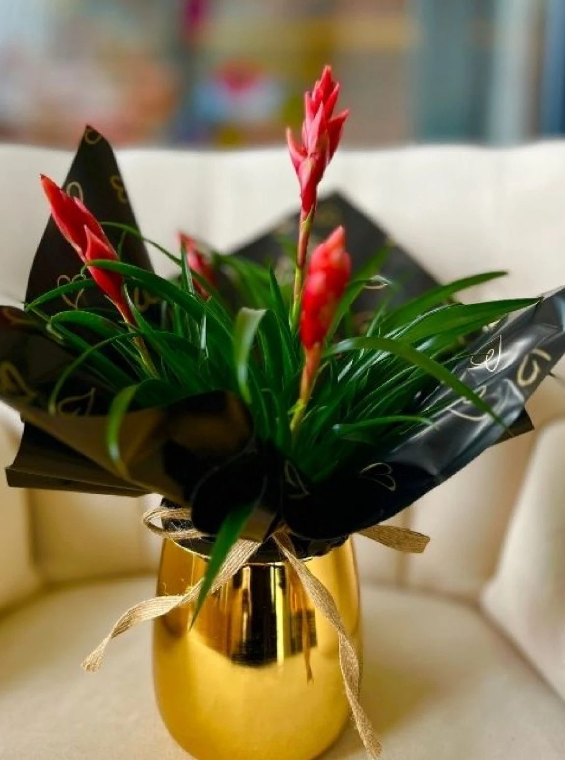 Altın Şıklık – Lüks Saksıda Kırmızı Guzmania