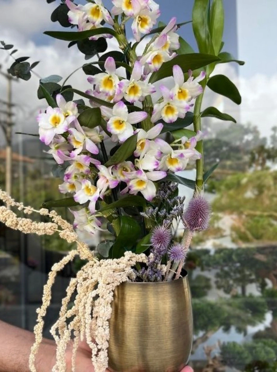 Dendrobium Orkide Ve Okaliptus