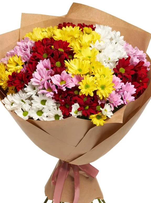 15 Adet Renkli Kasımpatı