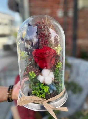 Kırmızı Solmayan Gül Fanus