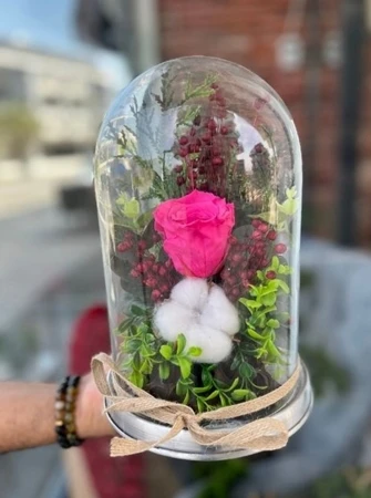 Pembe Solmayan Gül Fanus