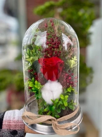 Sonsuz Aşk –  Fanusta Solmayan Kırmızı Gül